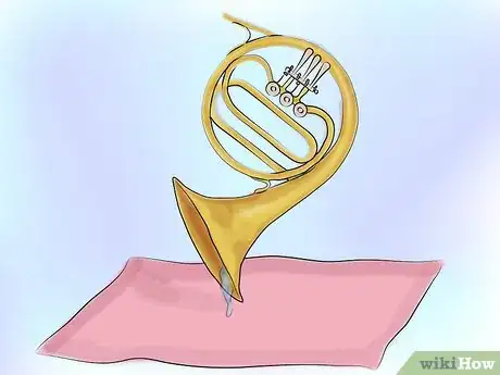 Image titled Bathe a French Horn Step 10