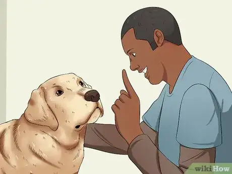 Image titled Select a Labrador Retriever Step 1