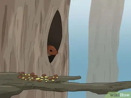Image titled Attract Squirrels Step 3