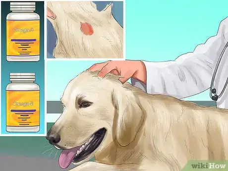Image titled Help an Itching Dog Step 14