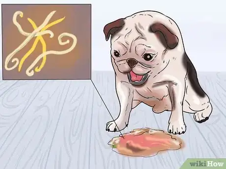 Image titled Prevent Roundworms in Dogs Step 6
