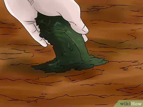 Image titled Overwinter Lily Bulbs Step 14Bullet1