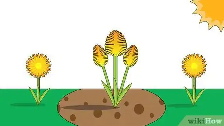 Image titled Plant Tritoma Step 10