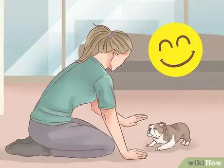 Image titled Choose a Training Program for Your Dog Step 12