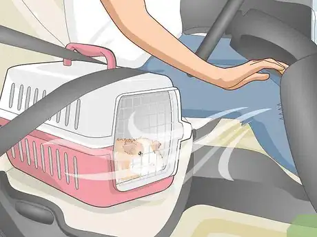 Image titled Transport a Guinea Pig Step 5
