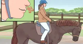 Succeed at Your First Horse Show