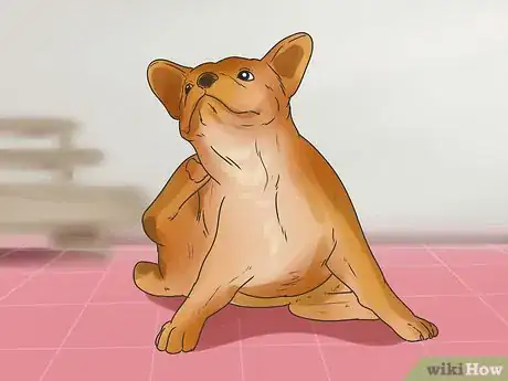 Image titled Soothe a Dog's Itchy Ears Step 12