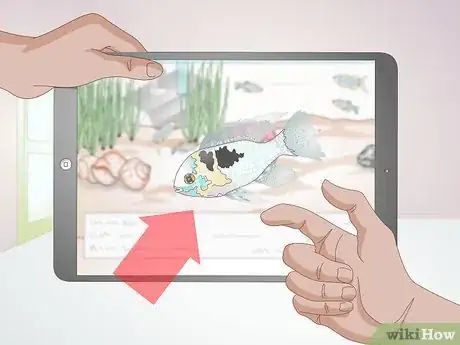 Image titled Keep German Blue Ram Cichlids Step 1