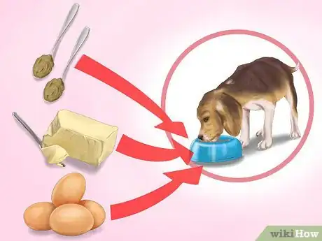Image titled Keep Your Dog or Cat at Its Correct Weight Step 13