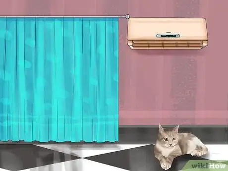 Image titled Prevent Heatstroke in Cats Step 3