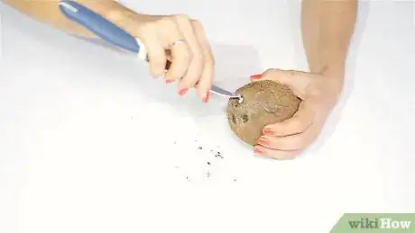 Image titled Open a Coconut Step 1