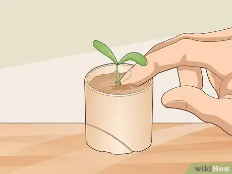 Image titled Go Zero Waste with Toilet Paper Step 10