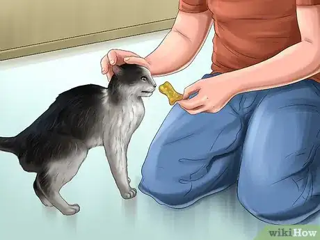 Image titled Act When Meeting a Strange Cat Step 6