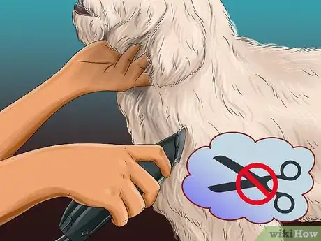 Image titled Groom a Goldendoodle Step 2