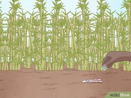 Image titled Build a Living Fence Step 16