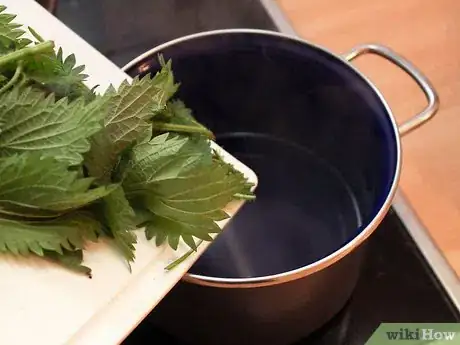 Image titled Eat Stinging Nettles Step 2