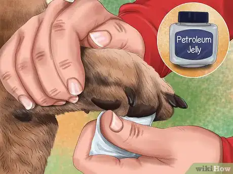 Image titled Care for Your Dog in the Winter Step 21