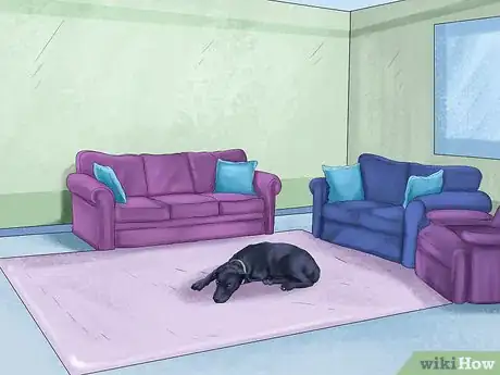 Image titled Keep a Pitbull Step 4