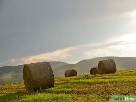 Image titled Spend Summer Vacation in the Mountains Step 10