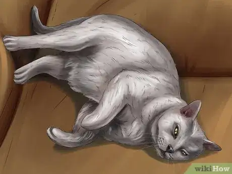 Image titled Treat Diarrhea and Constipation in Dogs and Cats Step 2