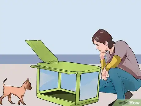 Image titled Care for a Recently Rehomed Dog Step 11