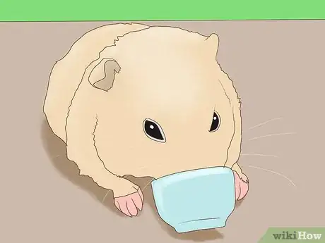 Image titled Take Photos of Your Guinea Pigs Step 10