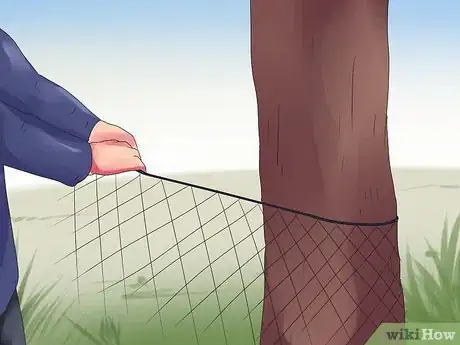 Image titled Catch Beavers Step 14