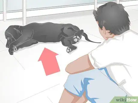 Image titled Buy an Orthopedic Dog Bed Step 4