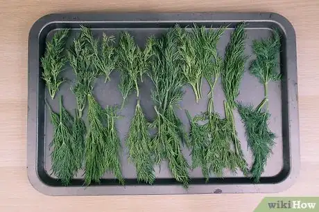 Image titled Preserve Dill Step 11