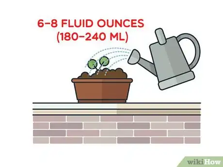 Image titled Grow Mint Indoors Step 8