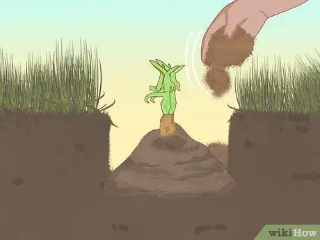 Image titled Plant a Shrub Step 15