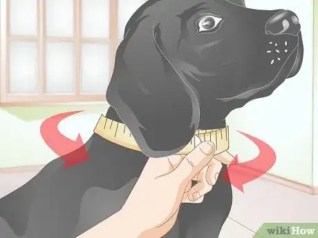 Image titled Fit a Dog Backpack Step 3