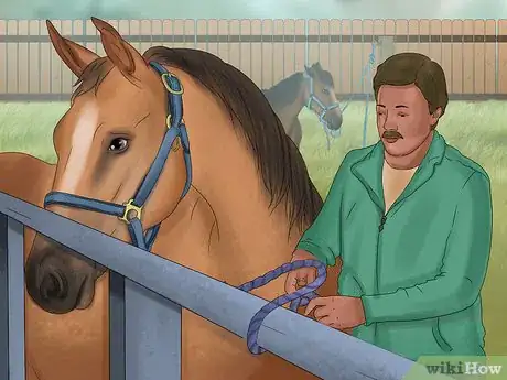Image titled Tie up a Horse Step 8