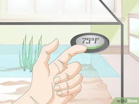 Image titled Do a Water Change in a Freshwater Aquarium Step 10