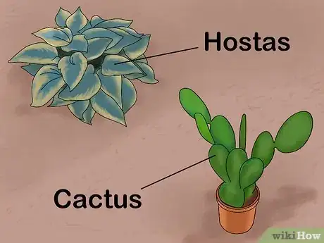 Image titled Plant a Low Water Garden Step 1