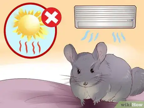 Image titled Know if a Chinchilla Is Right for You Step 7