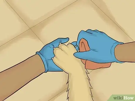 Image titled Wrap a Dog Paw Step 3
