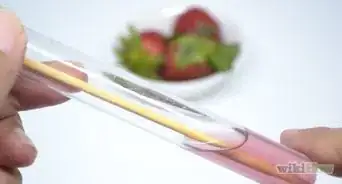 Extract Strawberry DNA