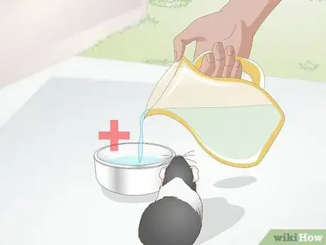 Image titled Feed a Guinea Pig a Well Balanced Meal Step 9