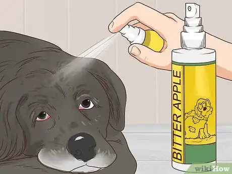 Image titled Prevent Older Dogs from Creating Lick or Scratch Sores Step 2