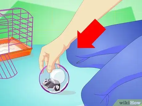 Image titled Keep a Hamster Healthy Step 18