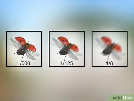 Image titled Photograph Insects Step 13