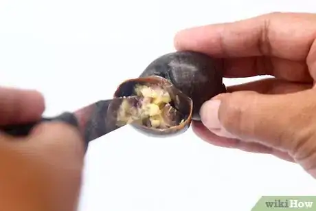 Image titled Prepare Escargot Step 13