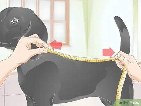 Image titled Fit a Dog Backpack Step 4