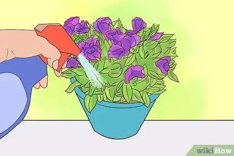 Image titled Grow Lisianthus Step 12