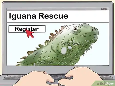 Image titled Buy an Iguana Step 1
