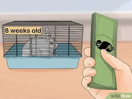 Image titled Choose a Pet Rabbit Step 11
