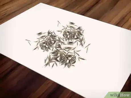 Image titled Grow Cosmos Flowers Step 15