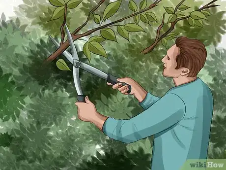 Image titled Track Hurricanes Step 11