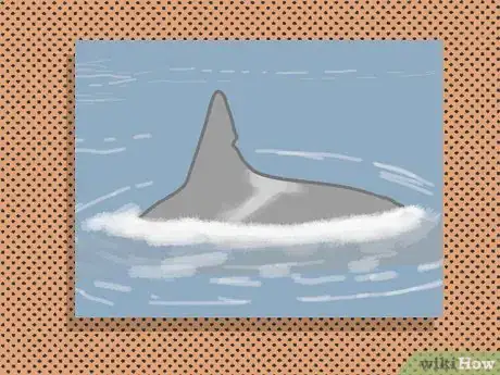 Image titled Identify an Orca Whale Step 1Bullet2